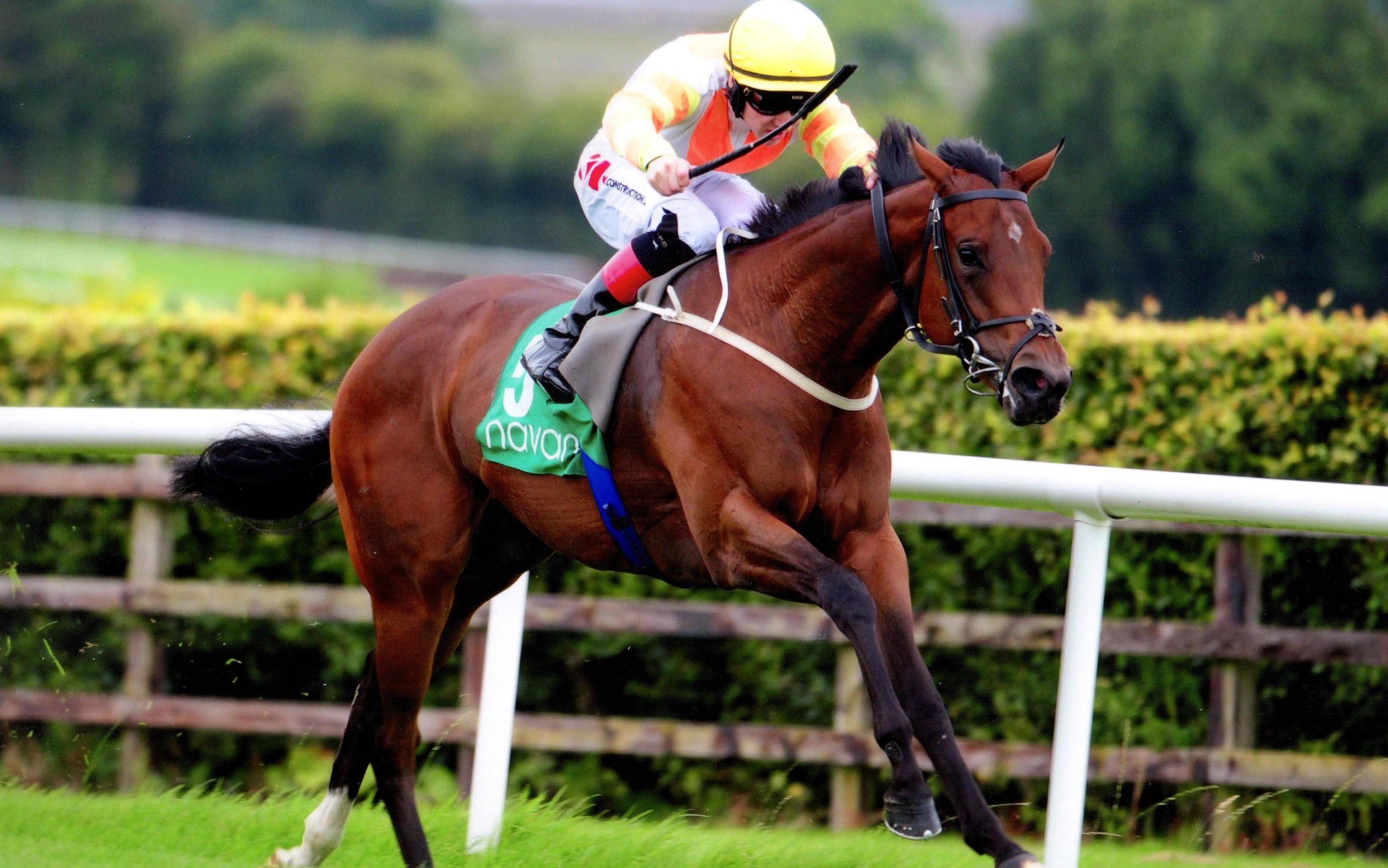 BLUE ULURU brings up her second career win of the season at Navan 2nd September 2017